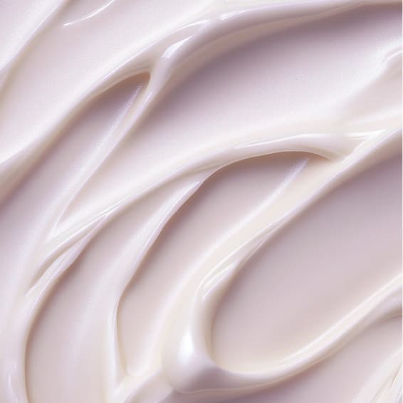 Combo membership at The Beauty Collective in Des Moines, IA