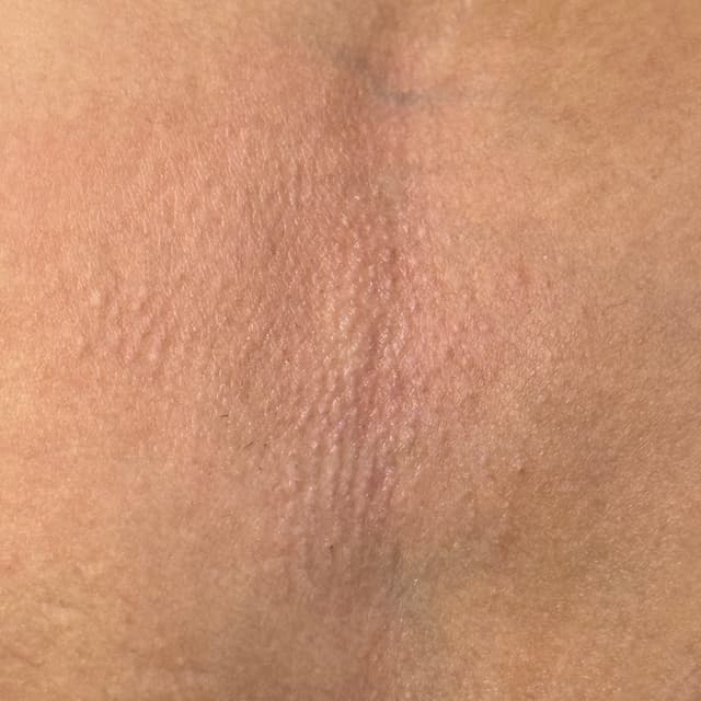 Underarm wax membership at The Beauty Collective in Des Moines, IA